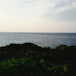 [EXO] <b>제주</b>도왔당