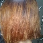 지금 머리색 <b>이색</b>인뎅