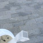 [EXO] 톤에이도 쵸쿄큐키 샀는데 <b>빨대</b>?? 이거 뭐임