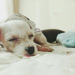 [댓글부탁해] <b>이</b> 사진 은근 <b>잘</b>나온듯