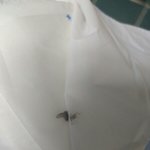위스퍼생리대에서<b>벌레</b>가나왔어요