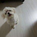 [댓글부탁해] 잠 안 오는 기념으로 추반 좀ㅠㅠㅠ!