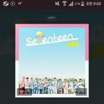 [세븐틴] 콘서트 응<b>원봉</b>있잖아