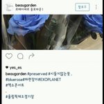 [EXO] 파란<b>장미</b>뭐냐???????