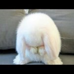 [댓글부탁해] 입술뜯는 습관 어케 고치냐...ㅅㅂ