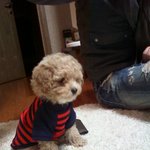 잘생겼다. 울~아들 루니