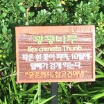 [EXO] 내가 찍은 꽝꽝<b>나무</b> 구경하고 가셈 ㅇㅇ