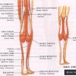 [ㅋㅋㅋㅋㅋ] 다리 예쁜 사람들은 진짜 <b>유전</b>인듯