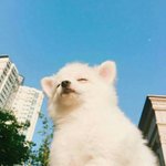 [드루와] 지금 지하상가에 슬랙스<b>파나</b>