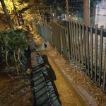 [도와주세요] <b>지하</b>아기고양이