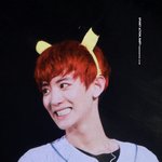 [EXO] ㅅㅂ 이런 <b>주머니</b>몬 있으면 <b>주머니</b>몬고 다운받음