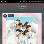 [세븐틴] 플디 최소 깡패