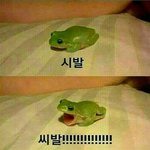 나 앞트임수술했는데 망해서 <b>재수술</b>해야됨ㅋㅋㅋㅋㅋㅋㅋㅋ