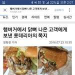 와 <b>롯데</b>ㄹ아 이건 아니지ㅋㅋㅋ