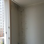 [제발조언좀] 집 매매후 하자.. 어떻게처리해야할까요? ㅜㅜ