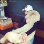 [EXO] 야 <b>이</b>강아지 뭐여