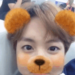 [방탄소년단] 호비<b>베어</b>움짤