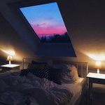 너네 집<b>순</b>이야 <b>밖</b><b>순</b>이야?