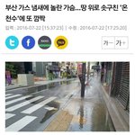 [조언부탁] 진짜부산에<b>지진</b>나면어떡해ㅠㅠ