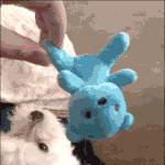 가장행복할때 골라<b>보삼</b>