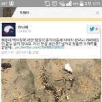 [방탄소년단] 이삐들 지금 부산 상황이