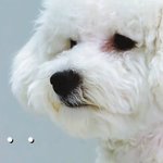 얘들아...진짜심각한데ㅅㅂ