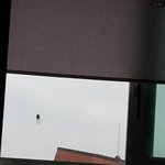 우리집에 <b>매미</b> 붙었다 ㅋㅋㅋ