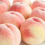 [댓글부탁해] 너네는무슨상이야??