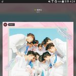 [세븐틴] 죽어도여한이없다