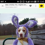 [드루와] <b>여대도</b> 차별아닌가요..?