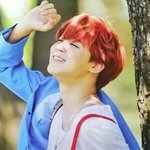 [방탄소년단] 박지민 <b>누누</b>슴