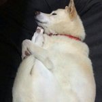 [댓글부탁해] @좋은 팝송 추천 좀 해주면 <b>만사</b>형통@