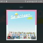 [세븐틴] ㅅㄷ 첫콘