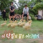 [EXO] 회사 <b>지원서</b>에 엑소땜에 돈벌려고 지원했다