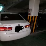 [꼭조언부탁] 아 월요일부터 개빡치네요 <b>가로</b>주차 이거 방법없나요