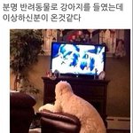 [EXO] 나만 얘 앞모습 <b>궁금</b>하냐