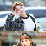 [댓글부탁해] 소나무 뉴썬 <b>숏컷</b>  vs 단발 뭐가 더 예쁨?