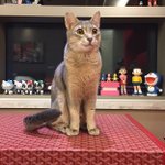 [<b>B1A4</b>] 아깐 미안해