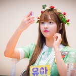 짤줍을 부르는 <b>화관</b> 여신들