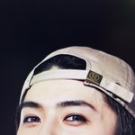 [EXO] <b>매몰</b> 자연유착법