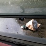 [조언부탁]  창밖으로 버리는 담배꽁초가 제 집앞에 쌓여있습니다...