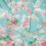 [드루와] <b>롯데</b>월드갈때 하의