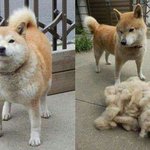 [굿<b>나잇</b>] ~~~~~잘자~~~~~