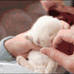 [유머북] <b>심</b><b>멎</b>주의