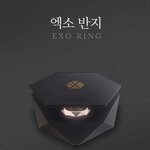 [찬열] <b>엑소반지</b> 별로 굿즈 티 안나는데 ㅎ