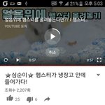 [댓글부탁해] 시1발 햄스터를 냉장고에 넣음 ㅃㄹ와봐;;;;;))추가