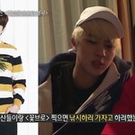 [방탄소년단] 석진이와 <b>마운</b>틴들님