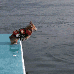 [EXO] 안녕하세요 <b>재난</b>구조팀입니다