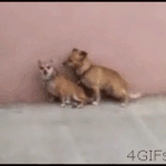 [EXO] 섹쓔하기전에 <b>준비운동</b>