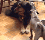 [EXO] <b>이색</b>끼 졸라웃곀ㅋㅋㅋㅋㅋㅋㅋㅋㅋㅋ